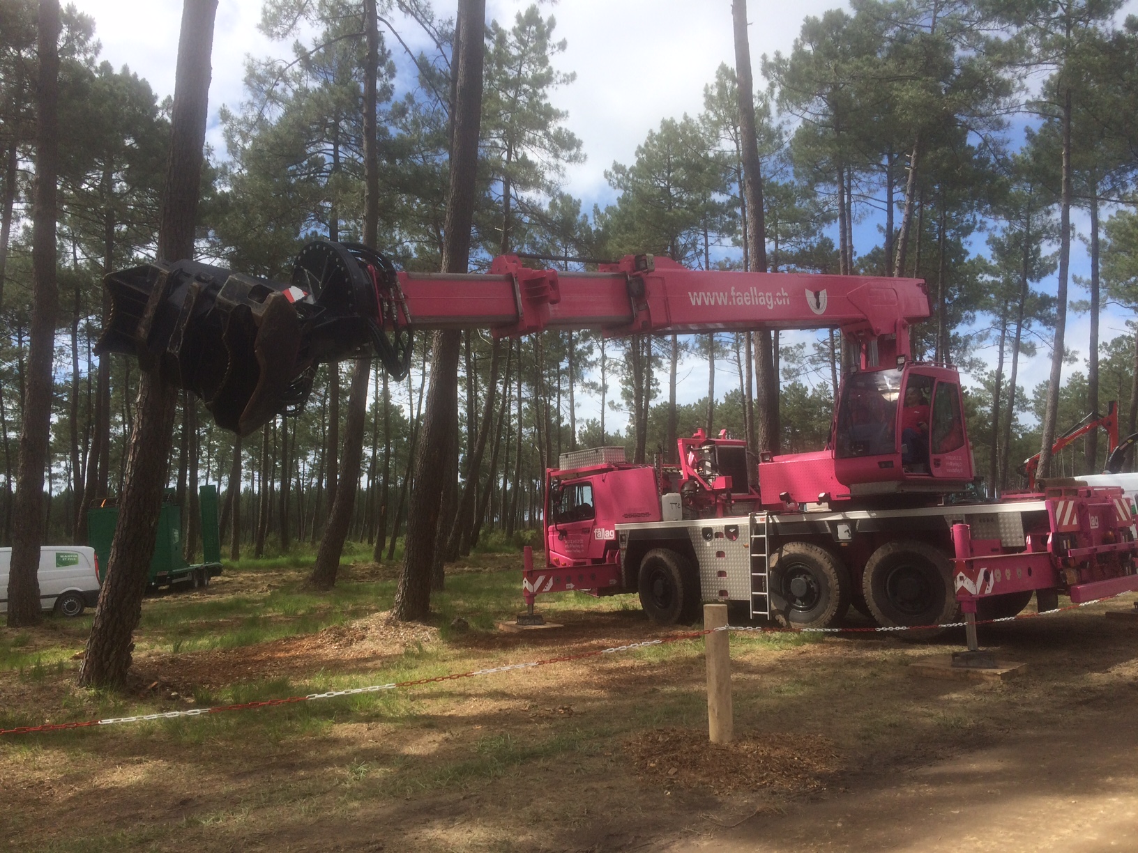 Ropa importe la tête d’abattage Faellag sur grue mobile