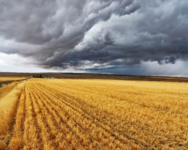 Le machinisme agricole a résisté à la crise sanitaire !